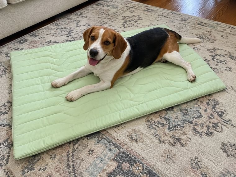 Customer photo of a pet on a Pentalor cooling mat