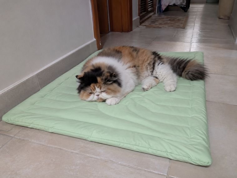 Customer photo of a pet on a Pentalor cooling mat